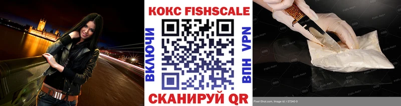 Cocaine FishScale  shop формула  Елизаветинская 