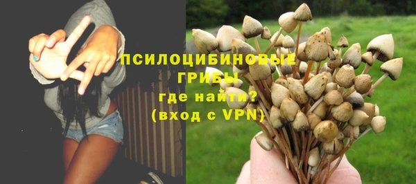 ешки Алексин