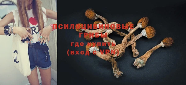мяу мяу мука Алзамай